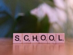 How Social Work in School Leadership Builds Strong and Supportive Schools